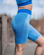 Sculpt Seamless Cycle Shorts - Blue - LV2LFT - Lifestyle Apparel & Gymwear