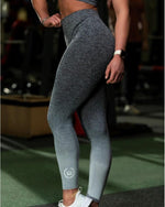 Seamless Ombre Leggings - Charcoal